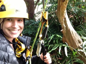 I'm hanging next to redwood crown fern mat, 200 feet above the ground.