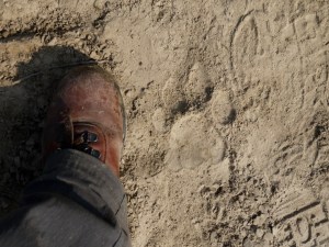 A tiger track dwarfs my hiking boot in Nepal.
