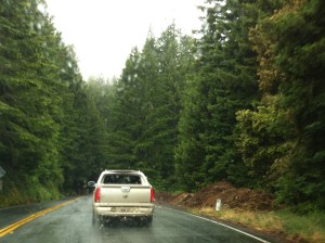 It's beautiful to drive down scenic roads, but probably best done in a quiet car for the birds' sake.