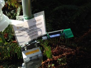 A weather station at Jedediah Smith Redwoods State Park remains wet on the forest floor despite our super dry winter.