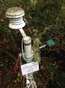 Aphid, sooty mold, and lichen covered weather station at Samuel P. Taylor State Park.