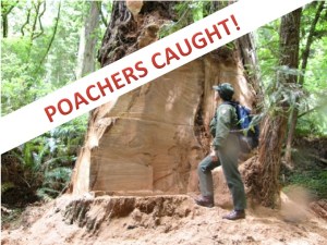 Photo by Marshall Neeck