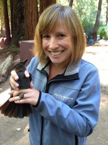I can blame this adorable Steller's jay for liking corn chips, I like them too!