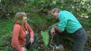 Doug McConnell and I find fern research amusing at Big Basin Redwoods State Park.