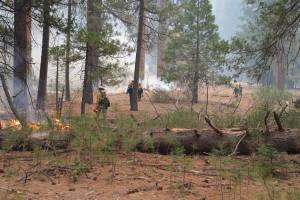 Prescribed fire at Yosemite National Park. Photo by the National Park Service.